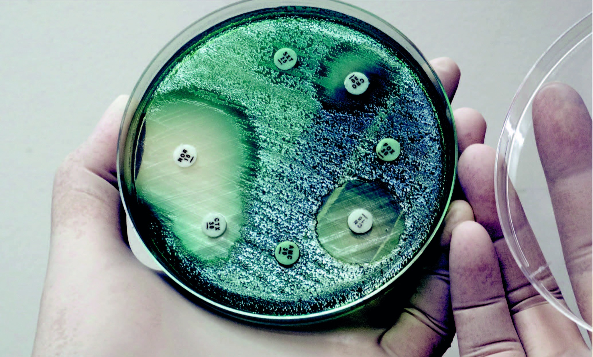 Drug History Lectures with Claas Kirchhelle